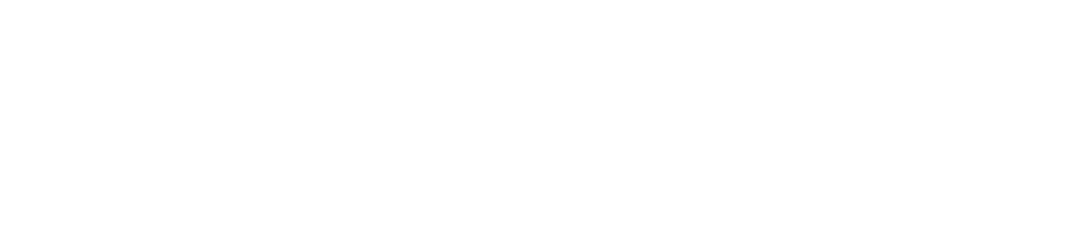 Gemba Partner